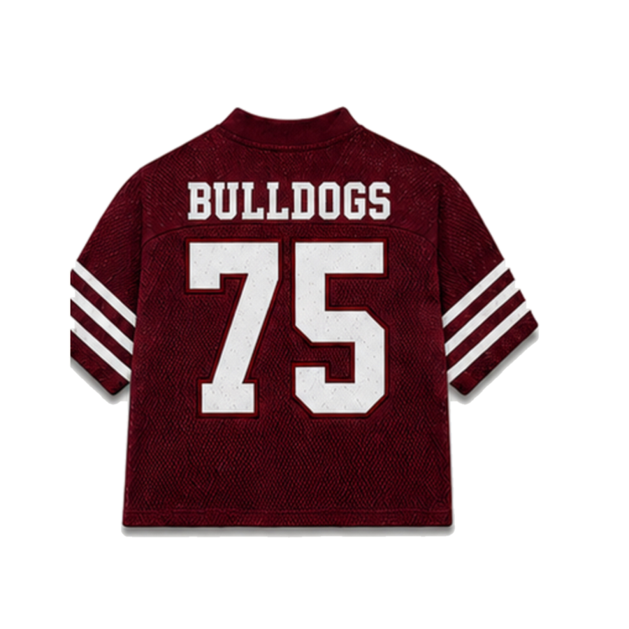 Alabama A&M Legacy Jersey in regular school colors, back view alternate view
