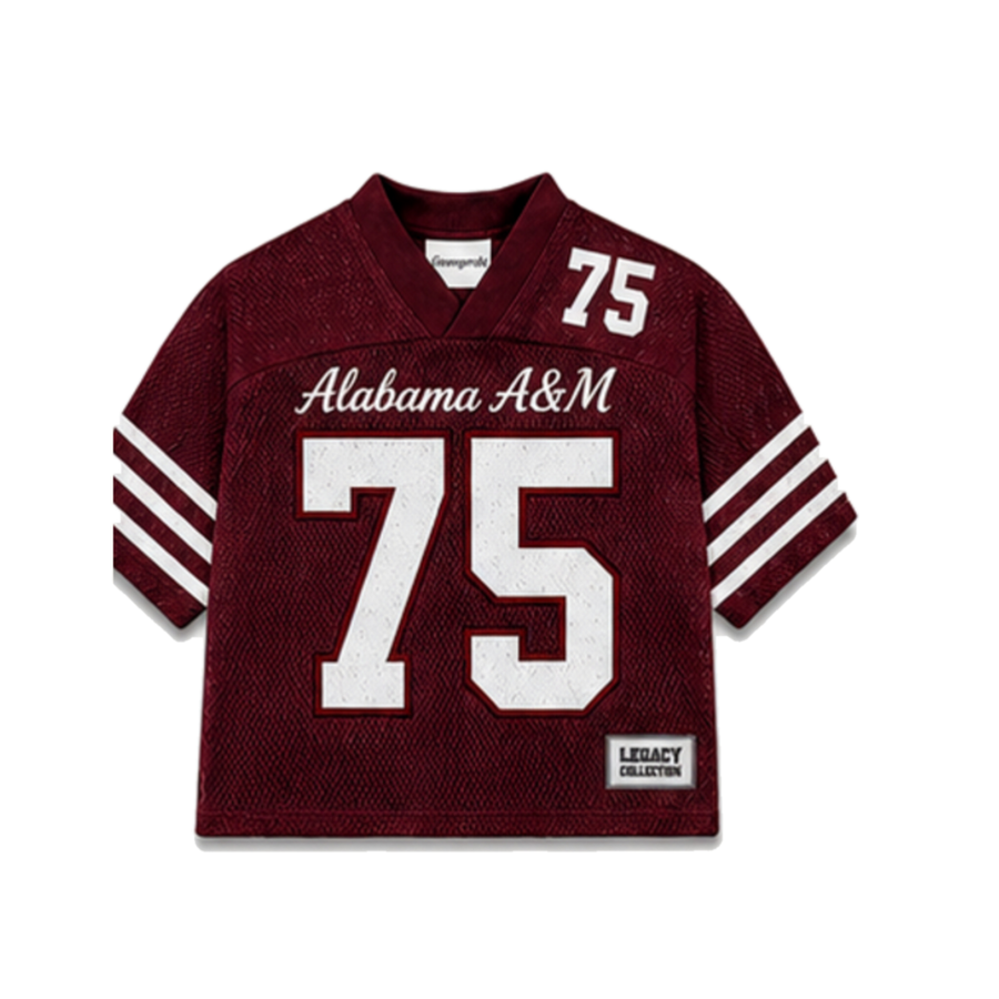 Alabama A&M Legacy Jersey in regular school colors, front view