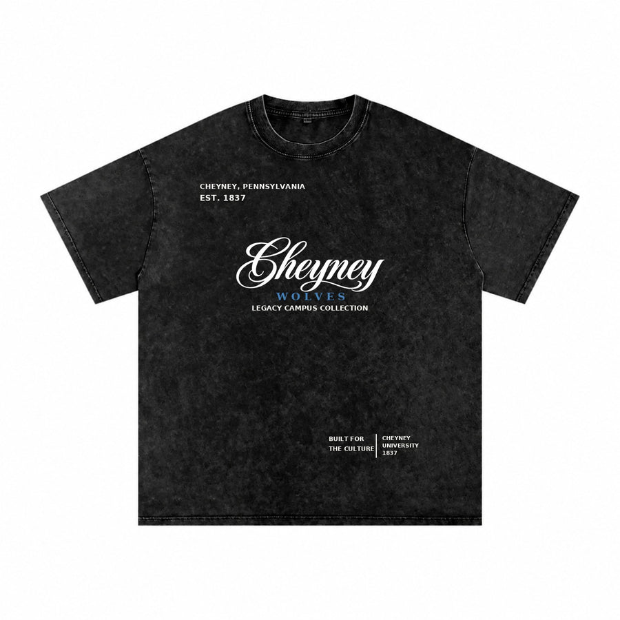 Cheyney washed black short sleeve shirt front