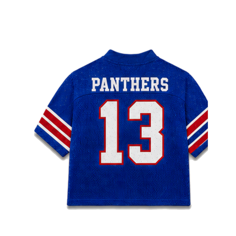 Georgia State Legacy Jersey in regular school colors, back view alternate view