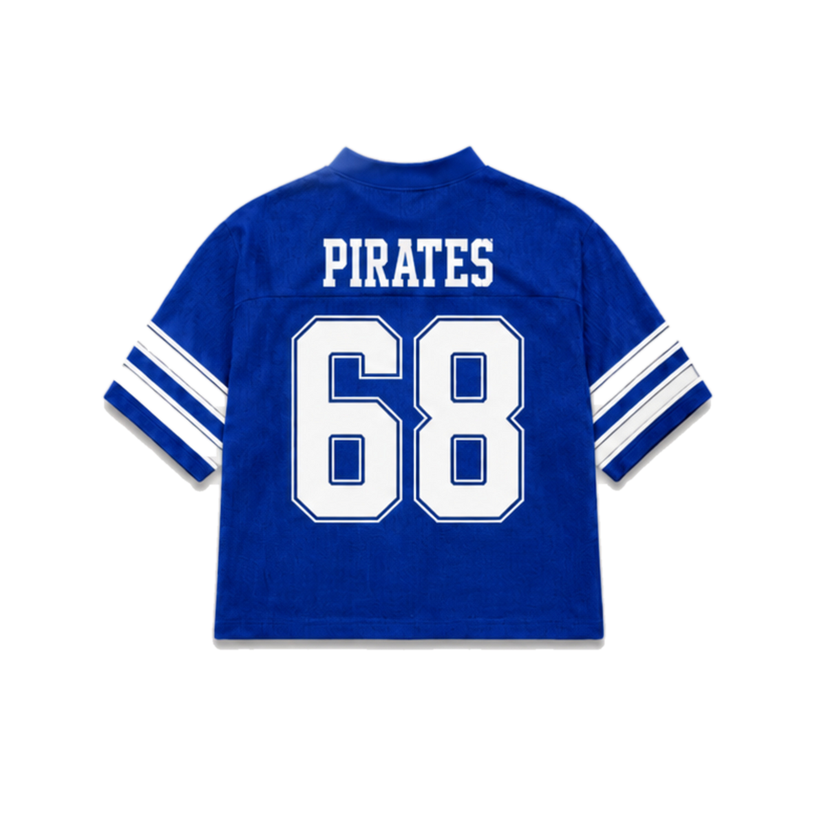 Hampton Legacy Jersey in regular school colors, back view