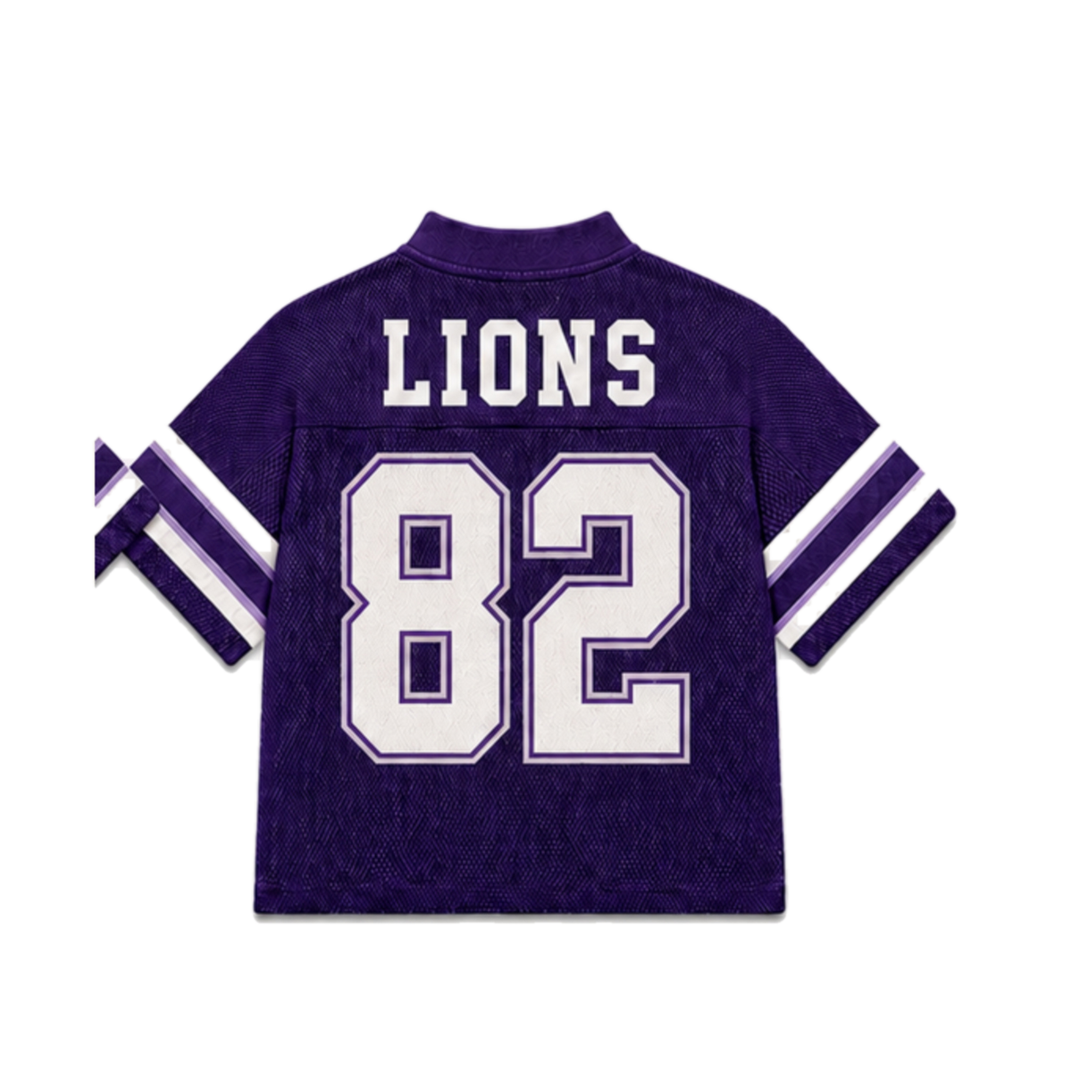Paine College Legacy Jersey in regular school colors, back view