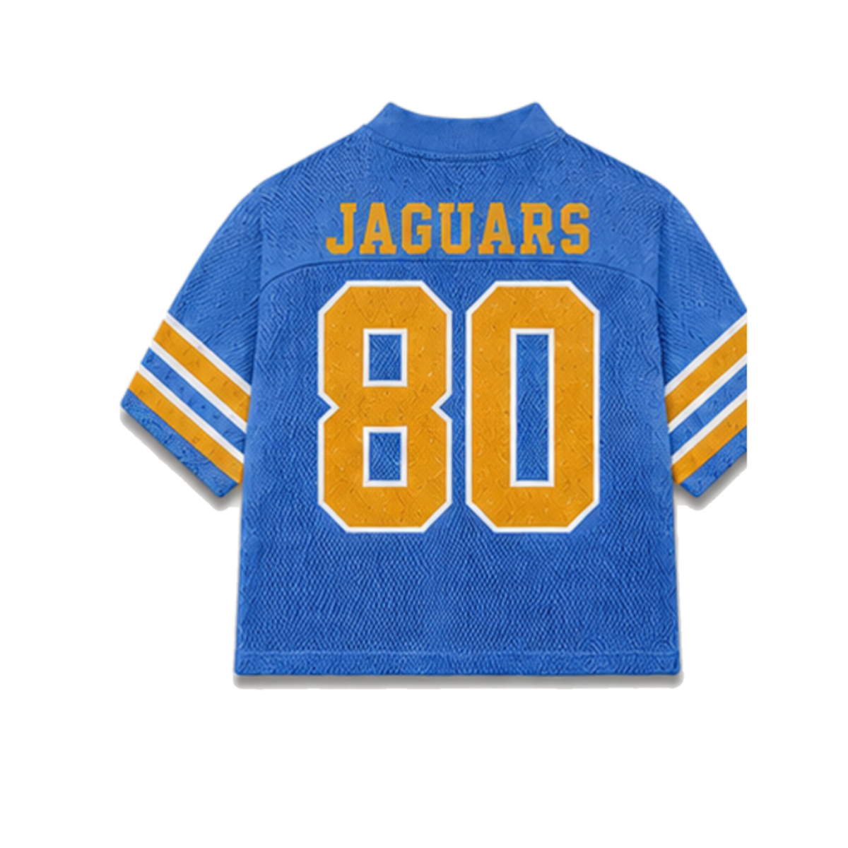 Southern Legacy Jersey in regular school colors, back view