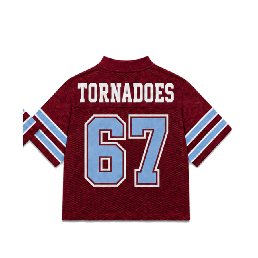 Talladega College Legacy Jersey in regular school colors, back view alternate view